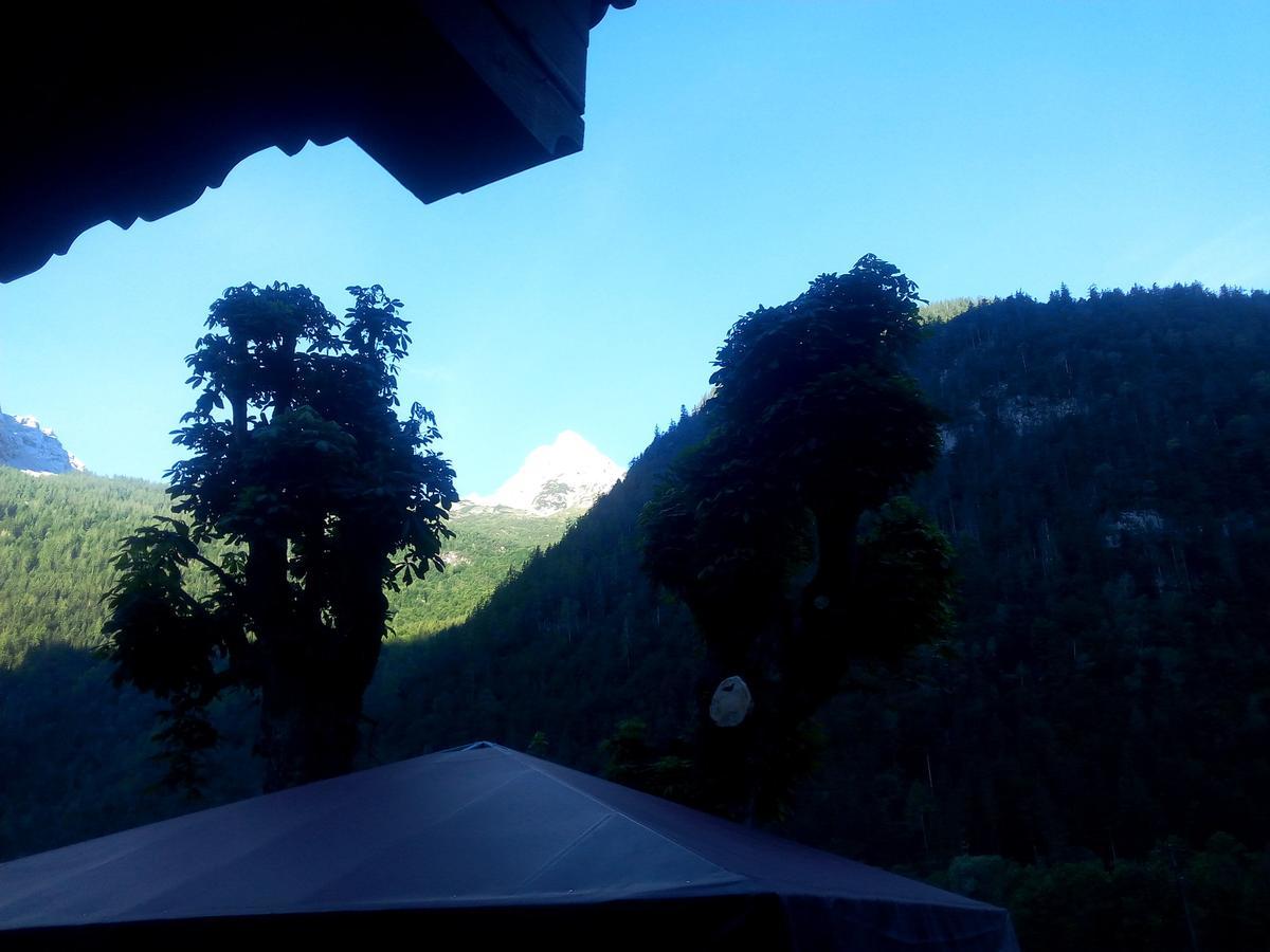 Gasthof-Pension Frohnwies Weissbach bei Lofer Exteriér fotografie