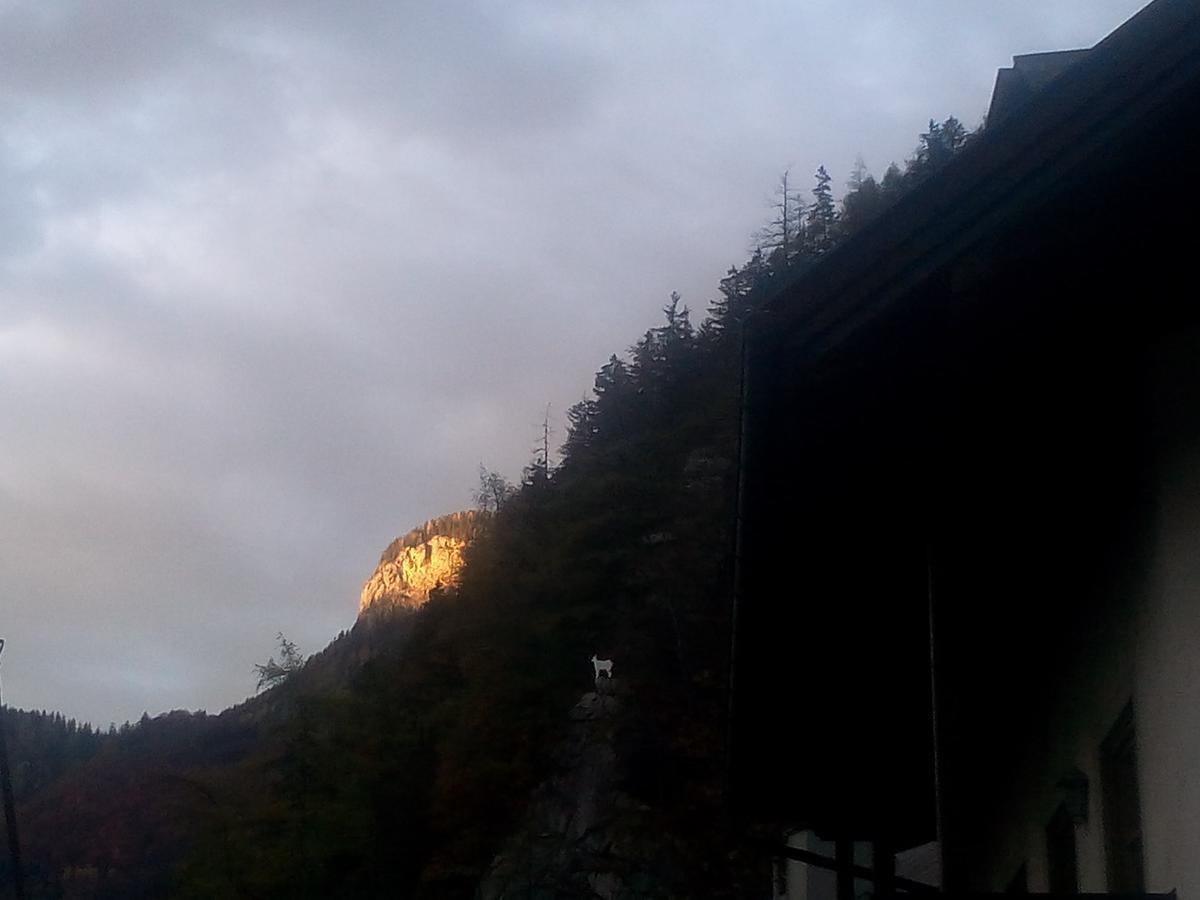 Gasthof-Pension Frohnwies Weissbach bei Lofer Exteriér fotografie