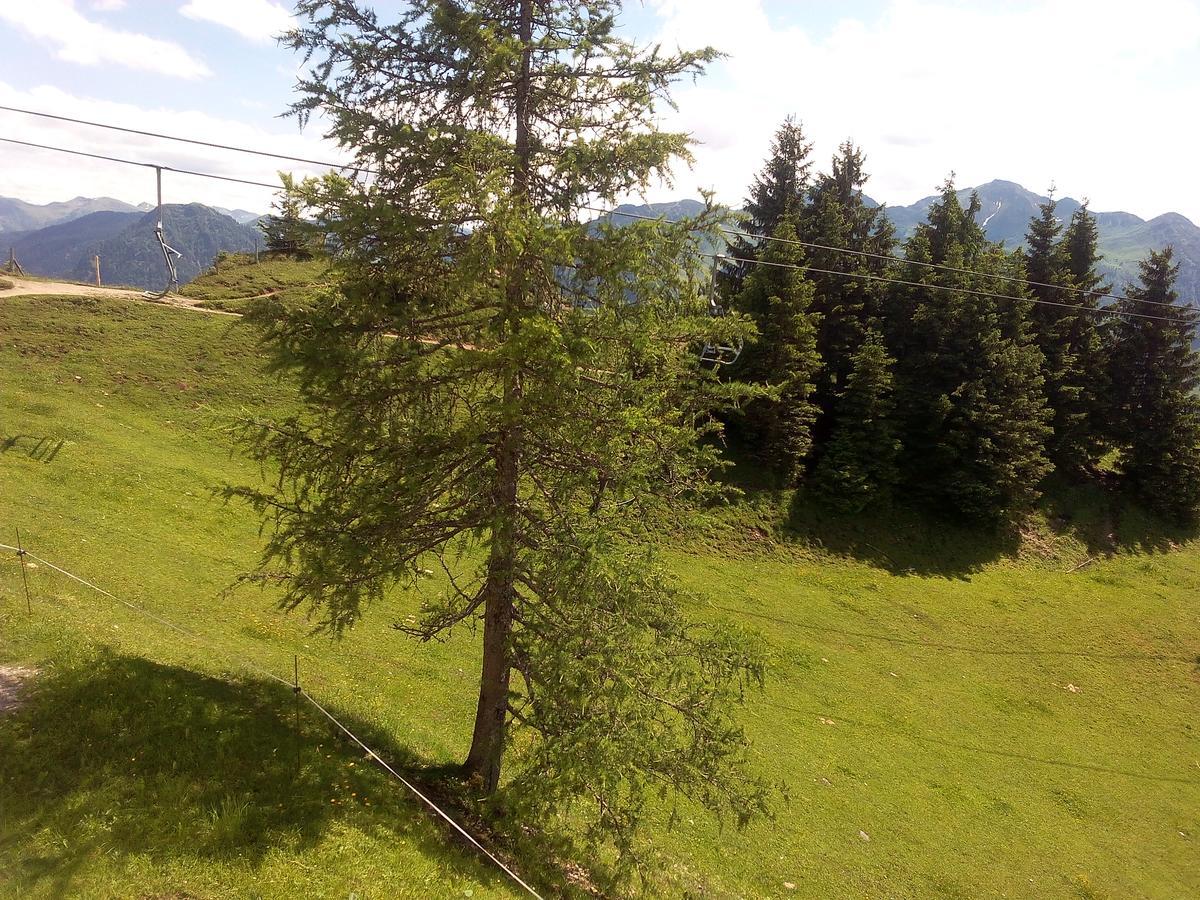 Gasthof-Pension Frohnwies Weissbach bei Lofer Exteriér fotografie